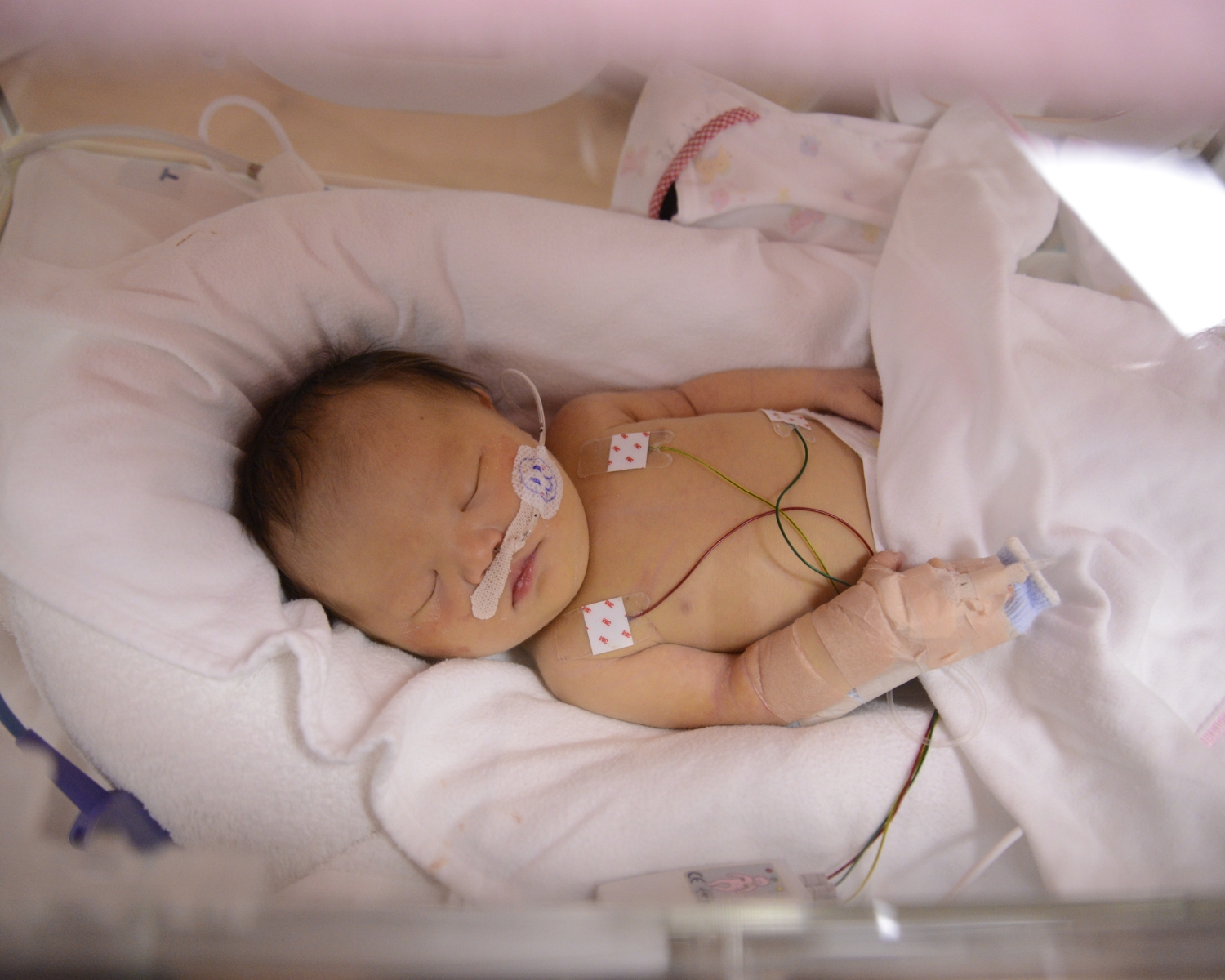 Beyond the Incubator: The Holistic Care Approach